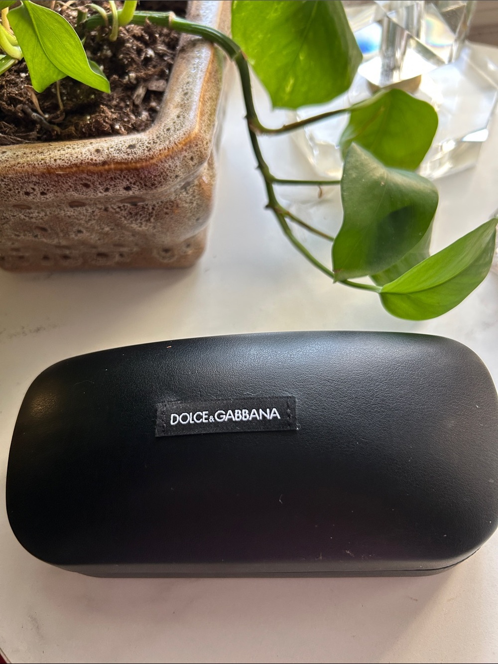 Dolce & Gabbana Black Hard Sunglasses Case